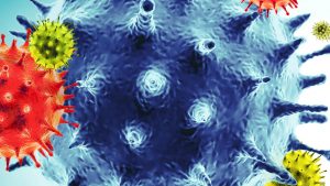 cdc-to-examine-coronavirus-spike-in-brown-county-wisconsins-largest-rate-of-boost.JPG CDC to examine coronavirus spike in Brown County, Wisconsin’s largest rate of boost