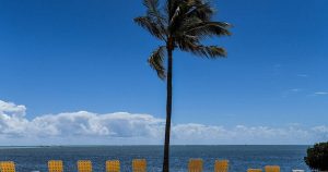 floridians-return-to-beaches-as-state-starts-to-loosen-coronavirus-limitations.JPG Floridians return to beaches as state starts to loosen coronavirus limitations