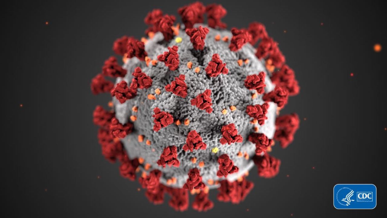 San Francisco releases coronavirus cases by zip code
