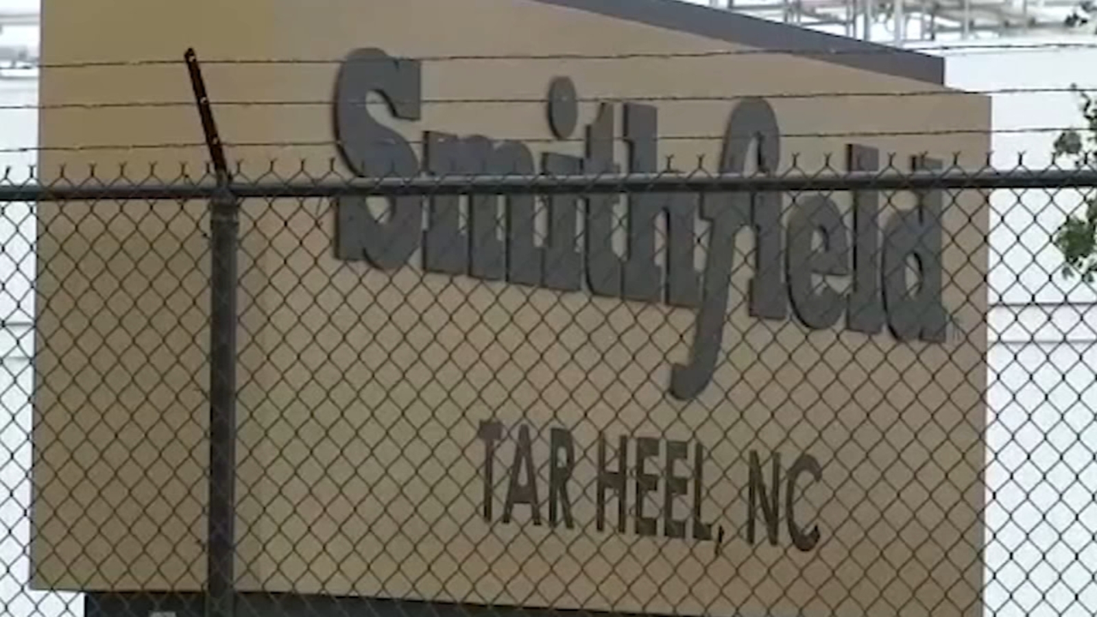 Smithfield employees worry they’ve contracted COVID-19 at North Carolina packing plant -TV