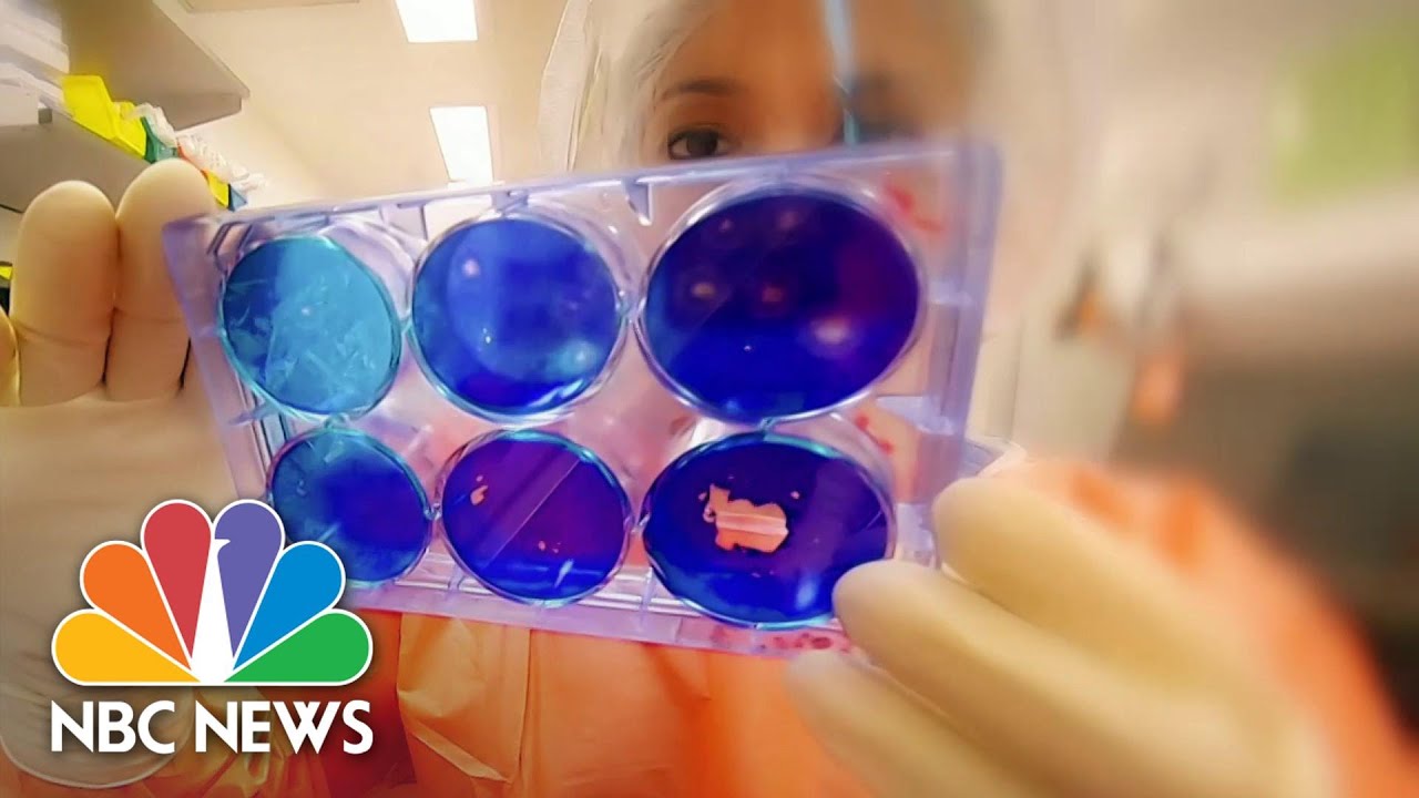 Clinical Trials Underway In Race For Coronavirus Vaccine | NBC Nightly News
