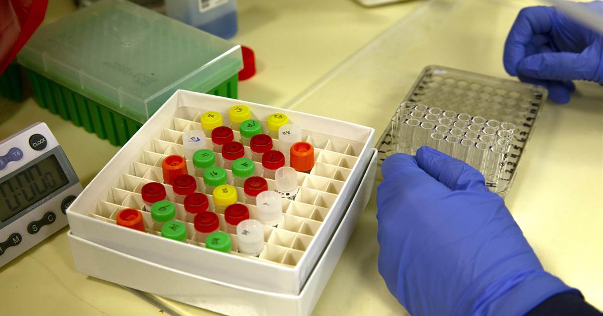 What can coronavirus antibody tests actually tell us?