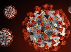 two-new-covid-19-deaths-in-new-hanover-county.JPG Two new COVID-19 deaths in New Hanover County