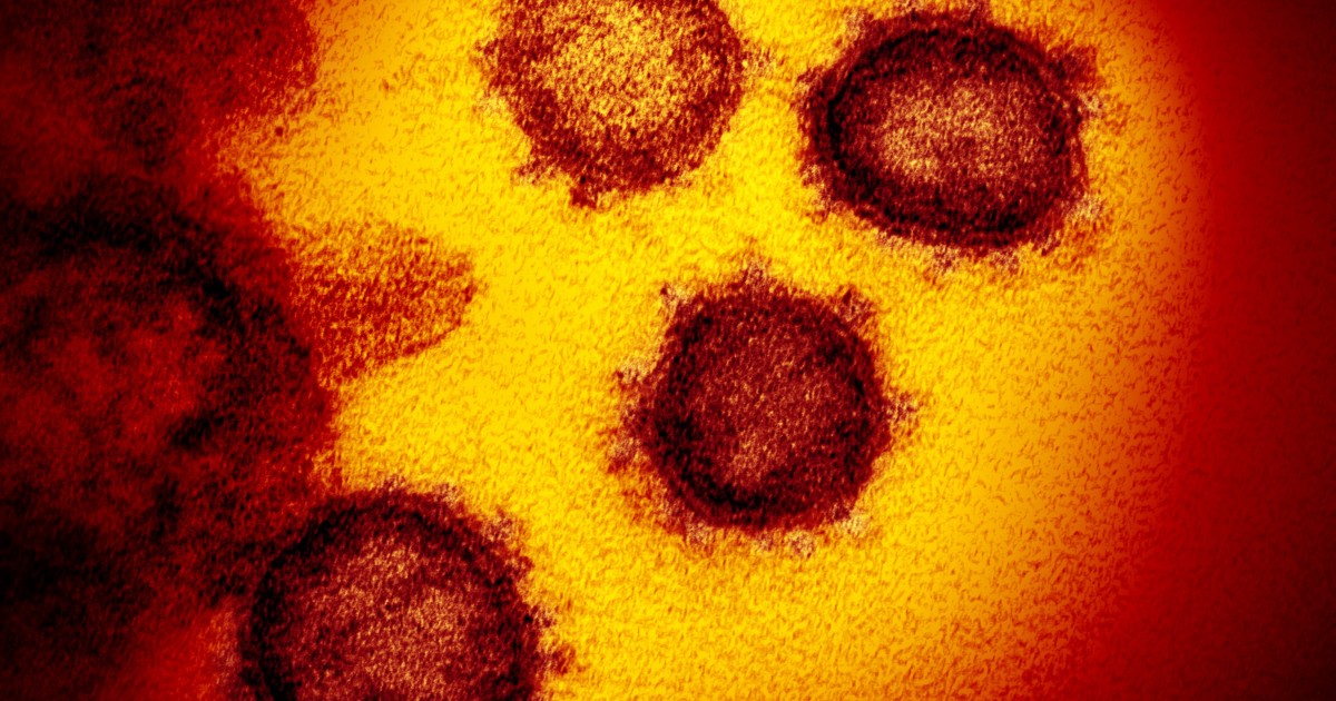 Study reports a mutant, more contagious form of coronavirus