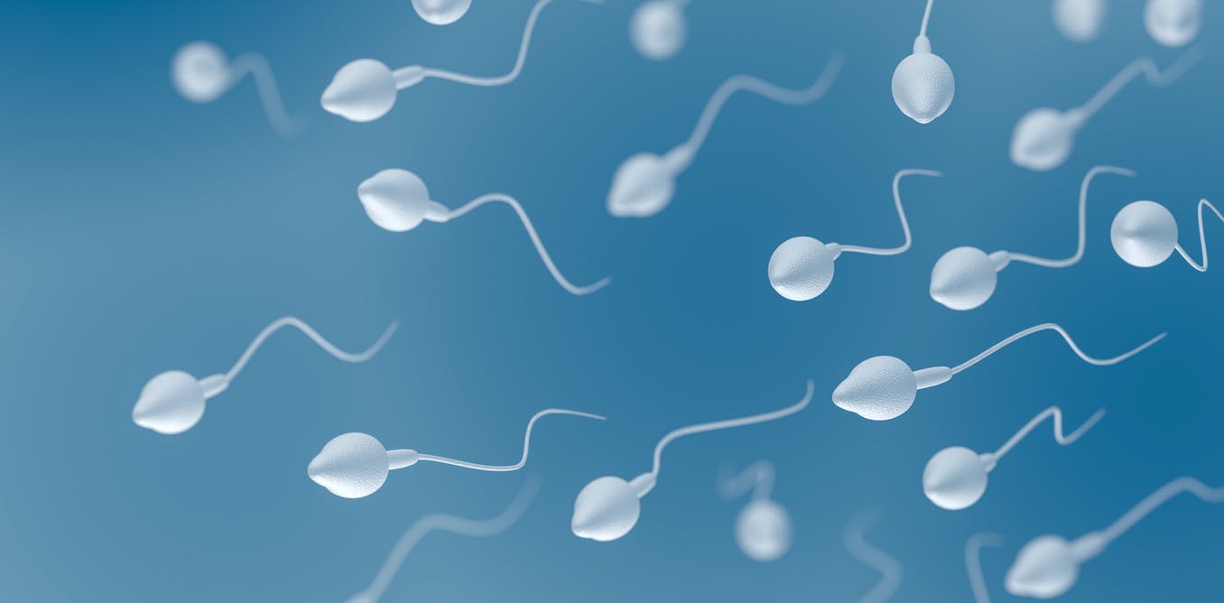 coronavirus-found-in-semen-of-young-men-with-covid-19.jpg Coronavirus found in semen of young men with COVID-19