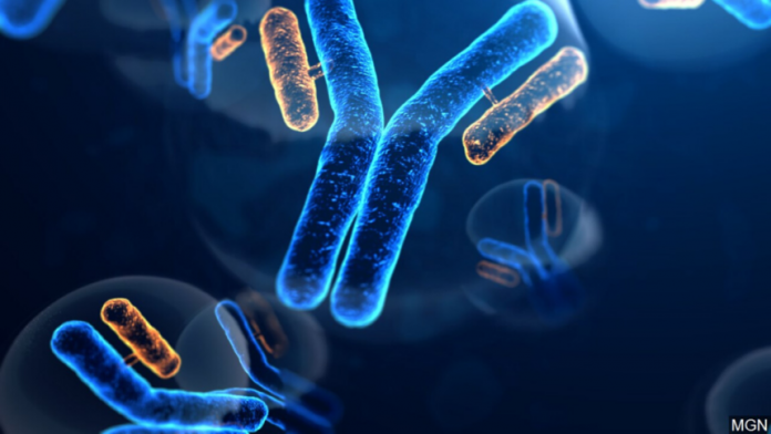 COVID-19 antibody tests available through Sonora Quest Laboratories without physician order, insurance