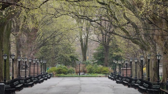 Record snowfall in Northeast sees first May snow in Central Park since 1977