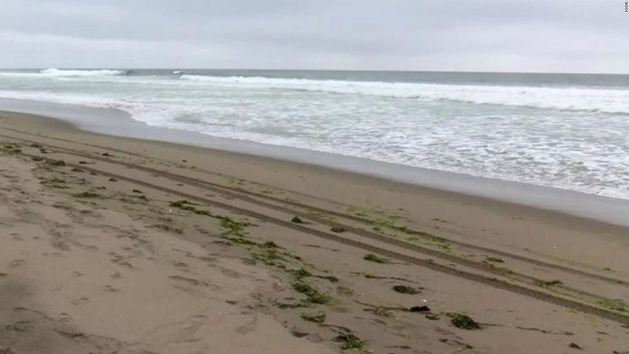 26-year-old surfer killed in California shark attack