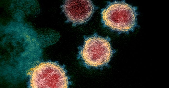 Why scientists say the coronavirus wasn’t made in Wuhan lab