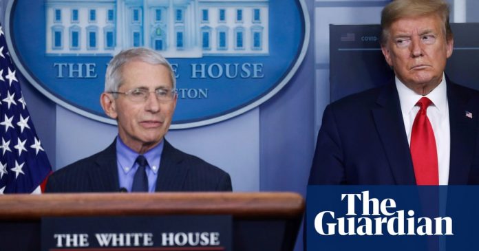 Global report: Anthony Fauci and two other White House Covid-19 taskforce members to self-quarantine