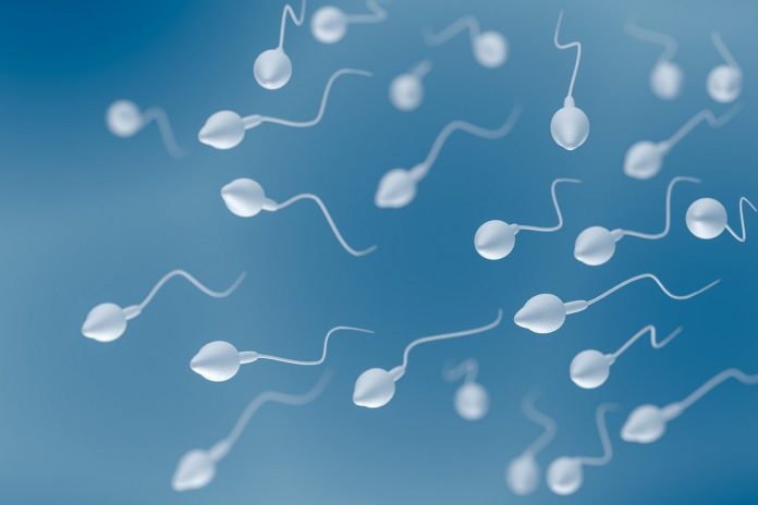 coronavirus-found-in-semen-of-young-men-with-covid-19.jpg Coronavirus Found in Semen of Young Men with COVID-19