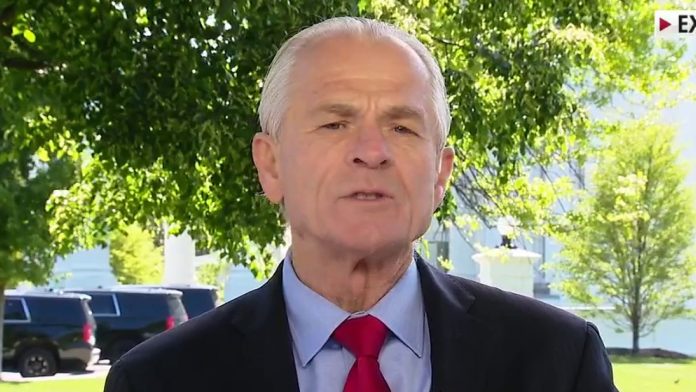 Peter Navarro: Patient zero was in Wuhan in mid-November