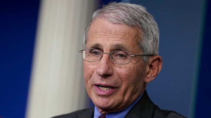 Fauci, other health officials to testify before Senate panel via videoconference amid coronavirus concerns