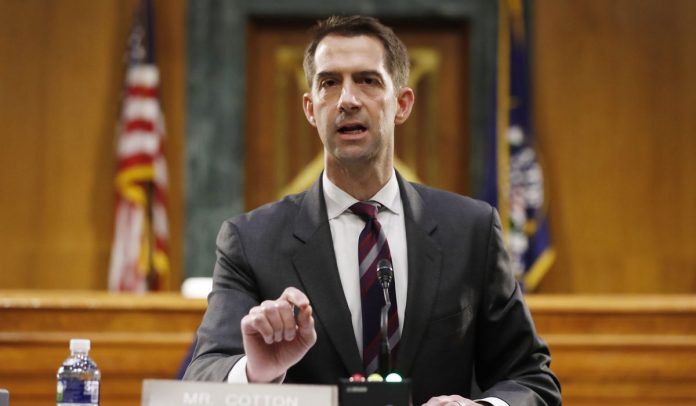 tom-cotton-says-china-pressured-who-to-downplay-coronavirus.jpg Tom Cotton says China pressured WHO to downplay coronavirus
