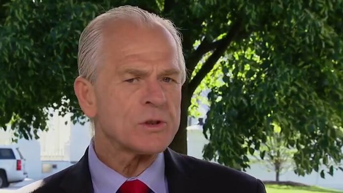 Peter Navarro calls out ‘pity party’: ‘This is not the Great Depression’