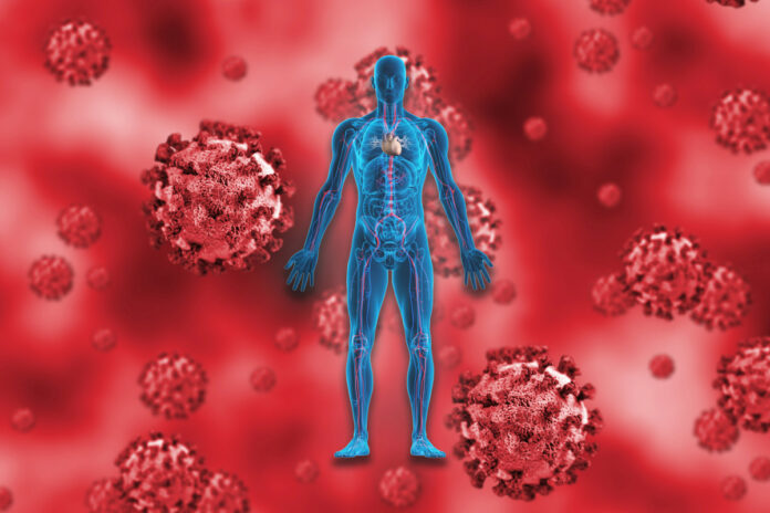 How coronavirus attacks the entire body — damaging the brain, kidneys and more