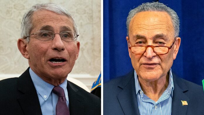 Schumer tells Fauci before Senate coronavirus testimony: ‘Let it rip’