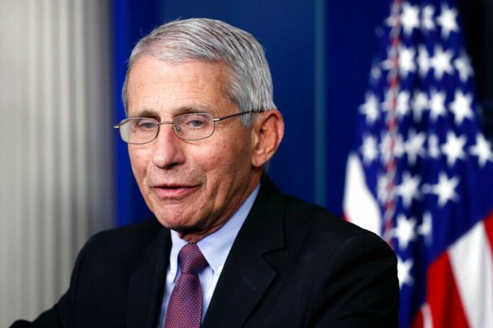 Fauci, other top health officials testify before Senate on reopening country amid coronavirus