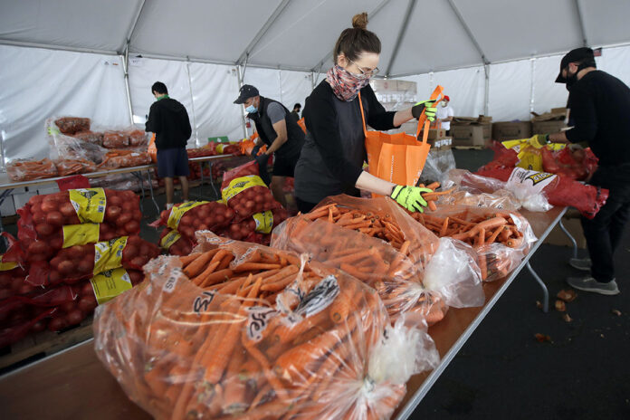 Multimillion-dollar food bank delivery contracts go to firms with little experience