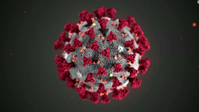 What you need to know about coronavirus on Thursday, May 14