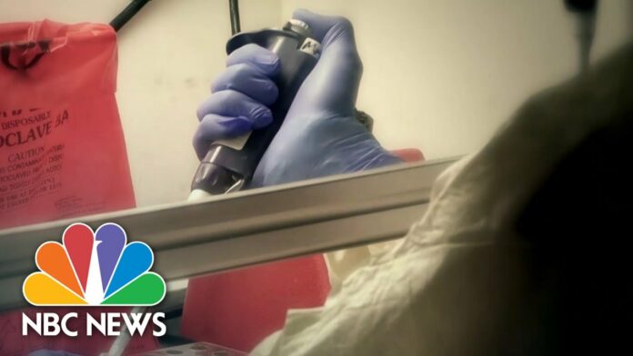 Convalescent Plasma Appears Safe As COVID-19 Treatment, Study Shows | NBC Nightly News