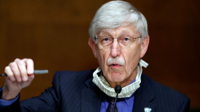 Large scale vaccine testing expected by July: NIH director