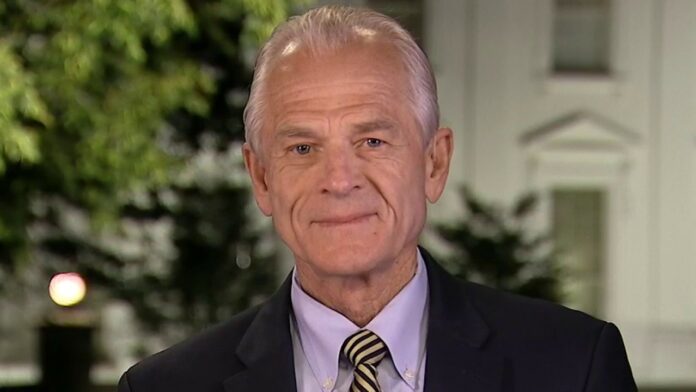 Peter Navarro reacts to Obama ripping ‘folks in charge’ of COVID-19 response
