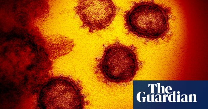 Possible breakthrough in coronavirus-related syndrome in children