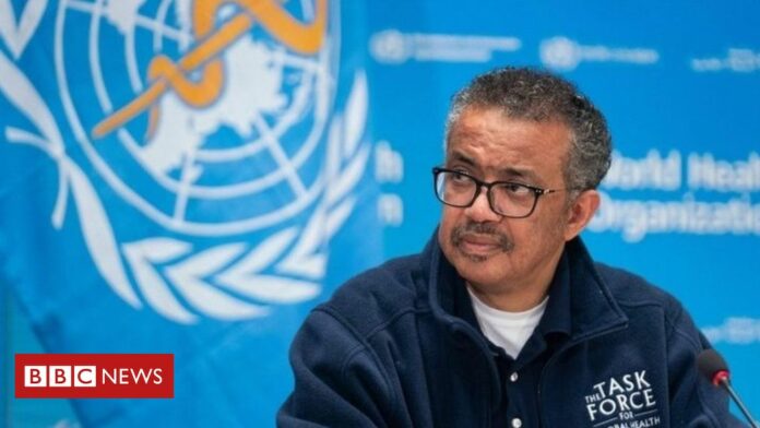 Coronavirus: Calls to investigate global response