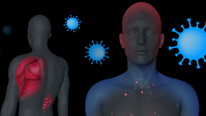 How does the coronavirus cause COVID toes or loss of smell? Here’s how the immune system reacts.