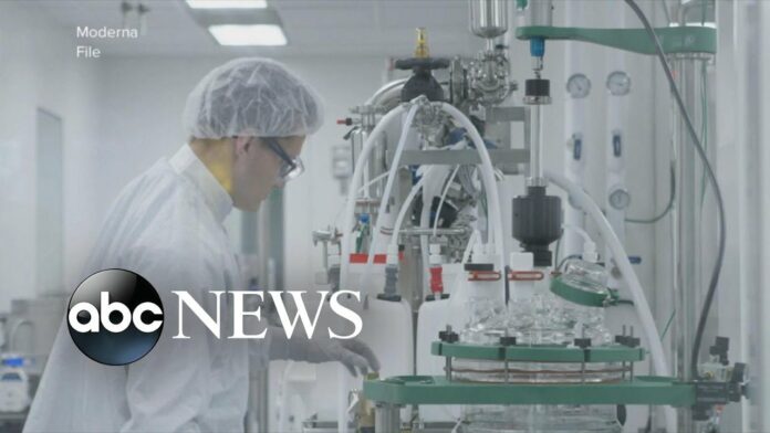 US company sees promise in COVID-19 vaccine trial | WNT