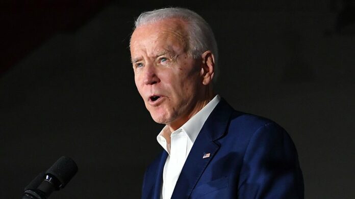 Biden’s virtual campaign speech repeatedly interrupted by geese | TheHill