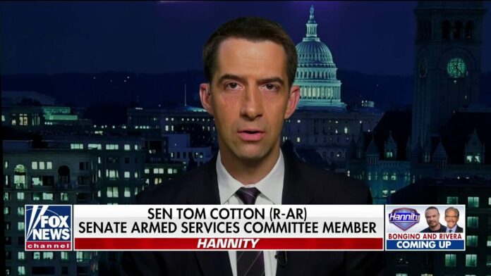 Cotton calls for withholding stimulus funds from states, cities where illegal immigrants get payments