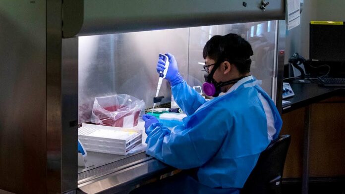 First Canadian clinical trials for coronavirus vaccine to begin