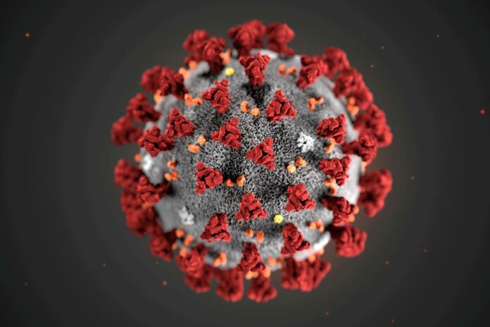 Top HIV scientist says he wouldn’t count on a vaccine for coronavirus soon