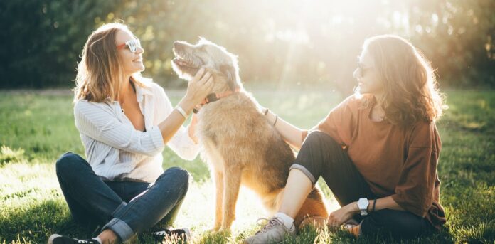 does-vitamin-d-protect-against-coronavirus.jpg Does vitamin D protect against coronavirus?