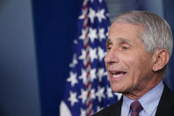 Fauci warns overextending coronavirus lockdowns could cause ‘irreparable damage’