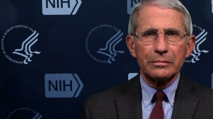 We will be seeing more of the scientists from the White House coronavirus task force soon, Fauci says