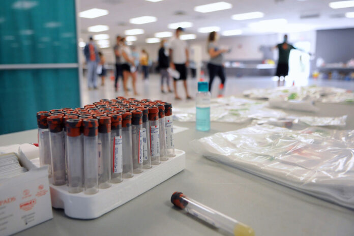 Coronavirus immunity could disappear after six months, study finds