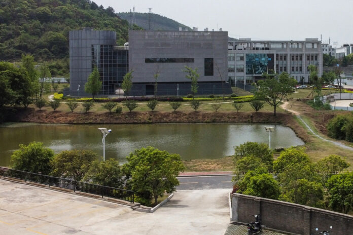 Wuhan lab admits to having three live strains of bat coronavirus on site