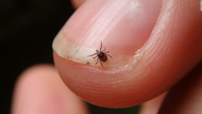 Corona with Lyme? Warmer weather means it’s time to be tick aware