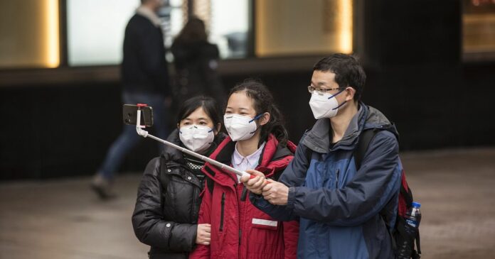 China’s ‘Bat Woman’ Warns Coronavirus Is Just Tip of the Iceberg