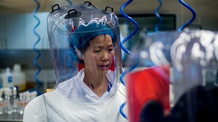 Coronavirus is just ‘tip of iceberg,’ Chinese researcher cautions