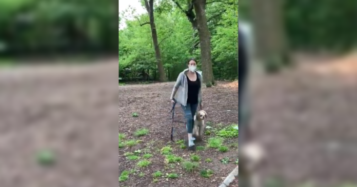 Central Park “Karen”: Woman placed on leave after video showing confrontation over unleashed dog in Central Park goes viral