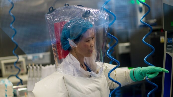 Coronavirus is ‘the tip of the iceberg’ warns China’s top bat researcher