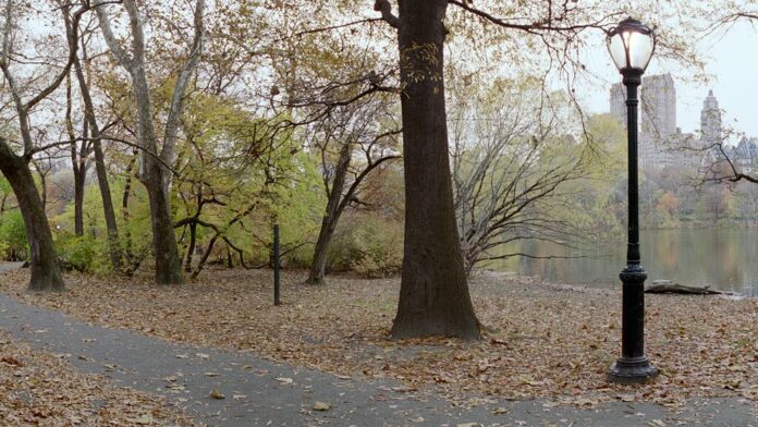 Video of white woman calling cops on black man in Central Park draws outrage