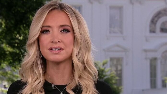Kayleigh McEnany: Journalists not above being questioned, ‘extreme lack of curiosity at play’