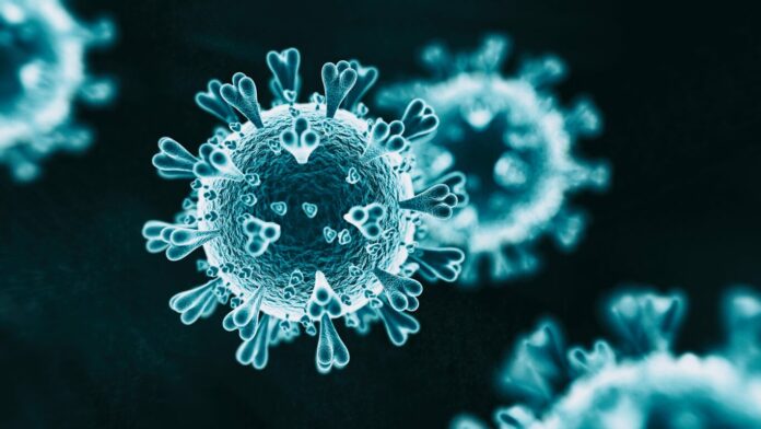 Nobel Prize winner: Coronavirus lockdowns cost lives instead of saving them