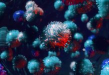 Chinese Stores Still Short on Supplies from Virus Shutdown