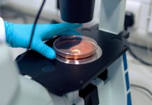 W.H.O. Says that the Coronavirus Has Become a Pandemic